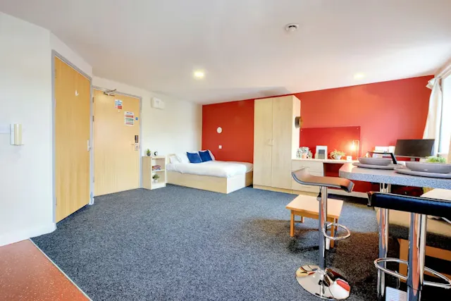 Large Studio room image 1