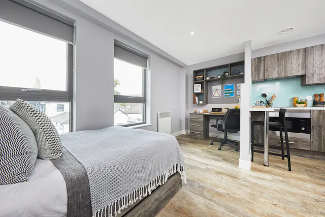 Large Studio room image 1