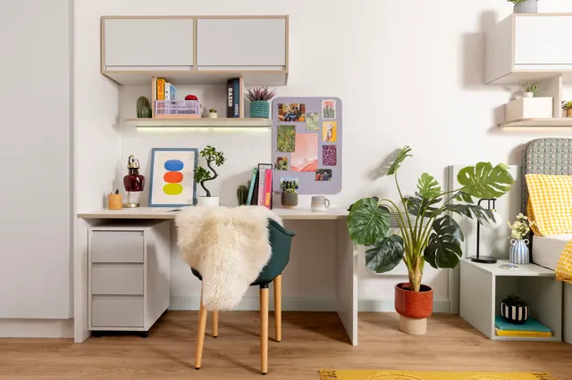 Studio Large Standard Double room image 2