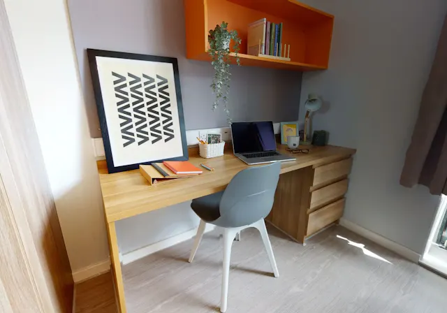 Gold Studio Plus room image 4