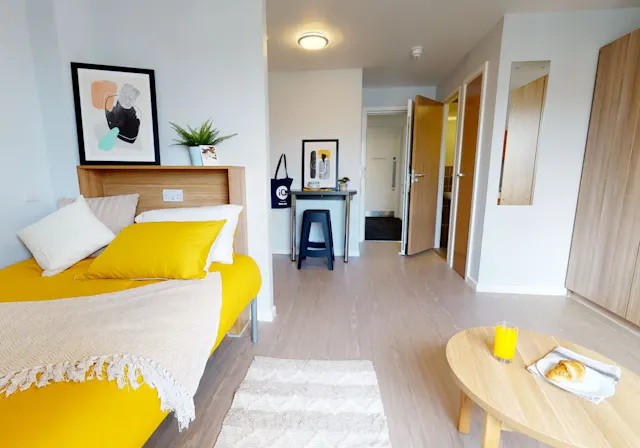 Gold Studio Plus room image 1