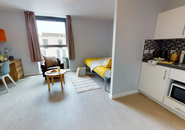 Gold Studio Plus room image 2
