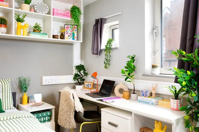 Studio Large High Double room image 2