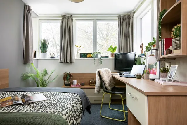 Studio Medium Standard Double room image 2