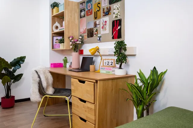 Non Ensuite: Two Bed Flat Standard Single room image 2