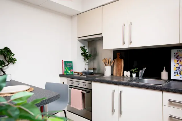 Studio Large Standard Double room image 2