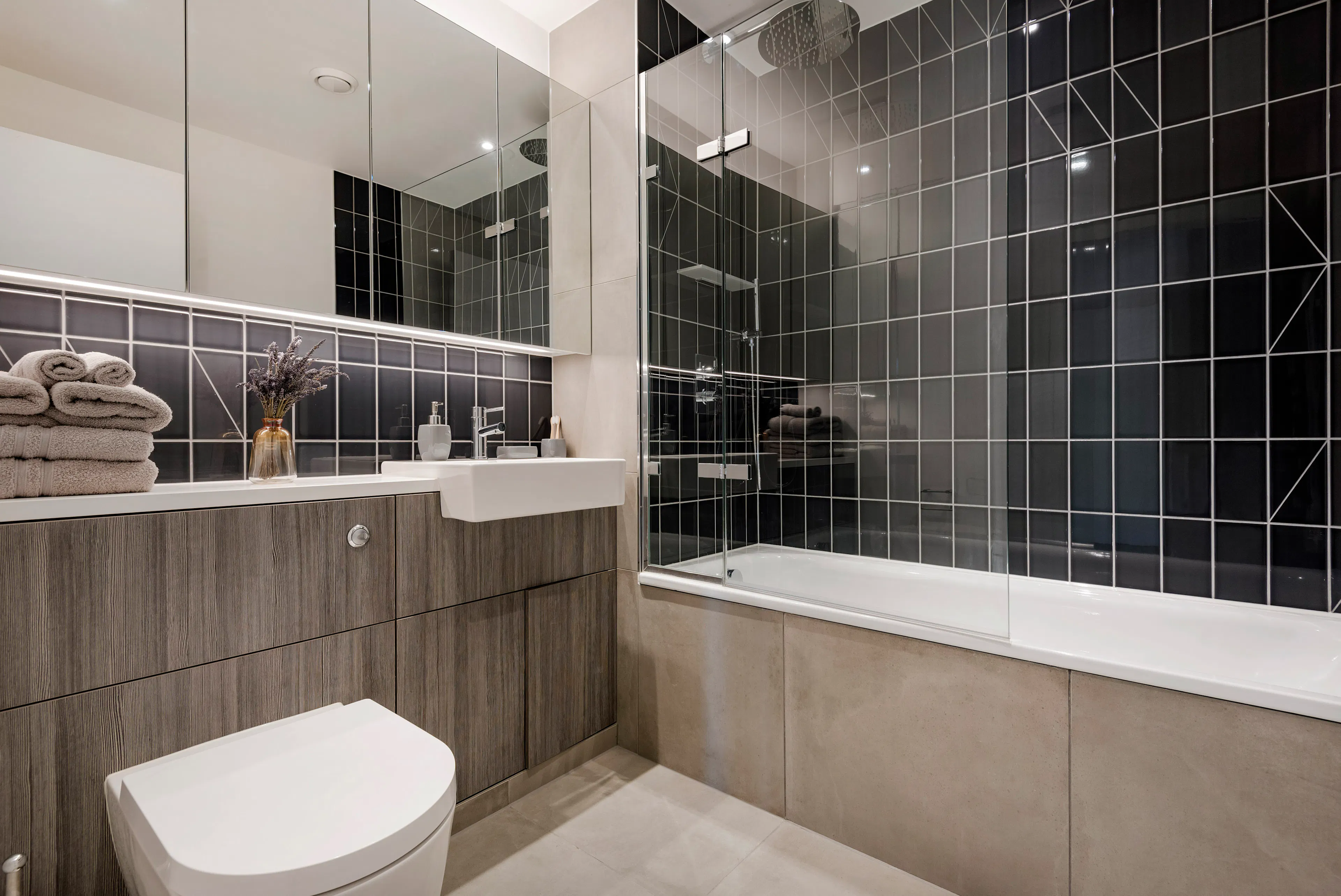 Two Bedroom Apartment BATHROOM 3