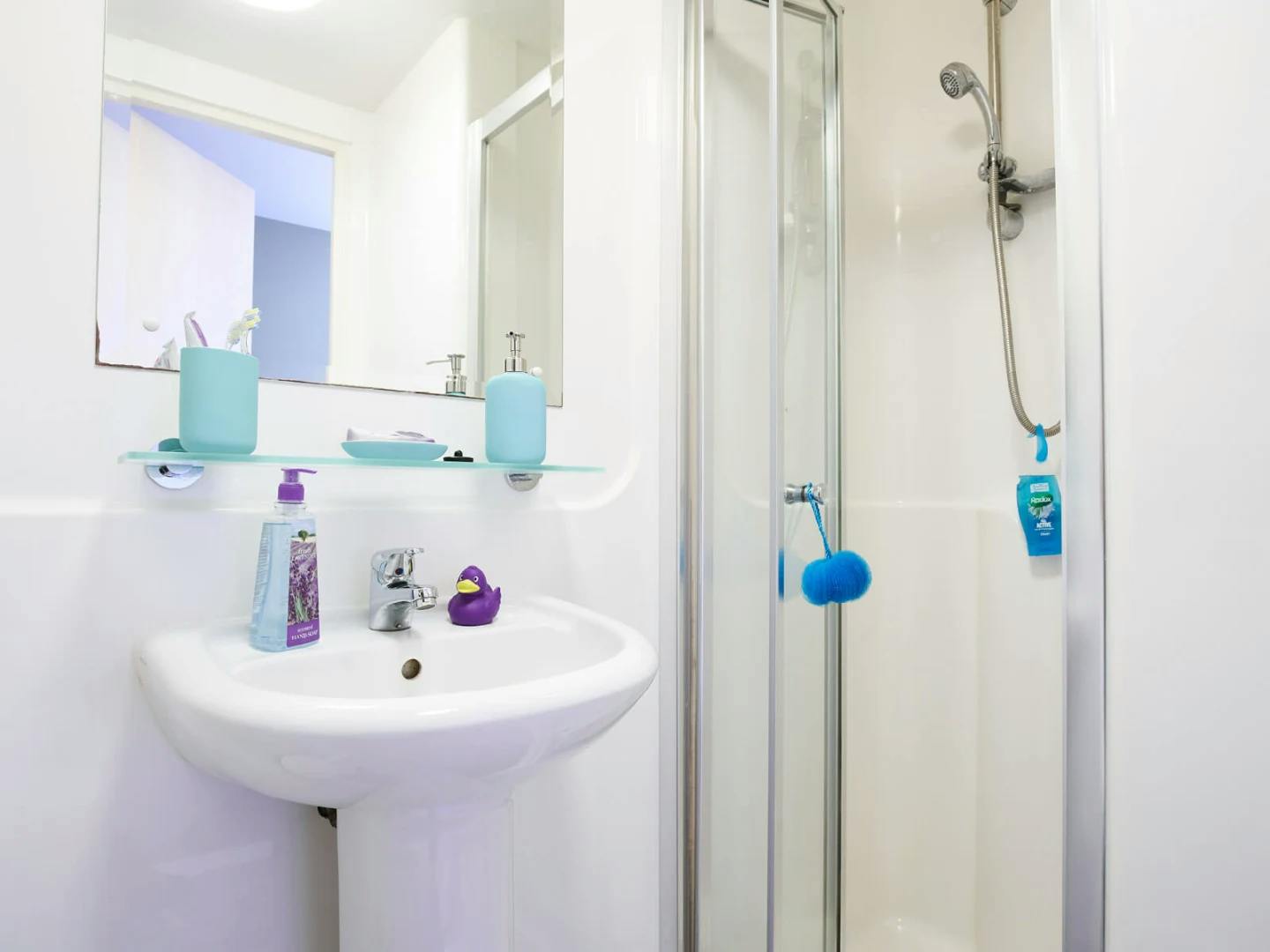 Lower Ground Floor En Suite