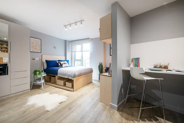 Luxe Studio room image 1