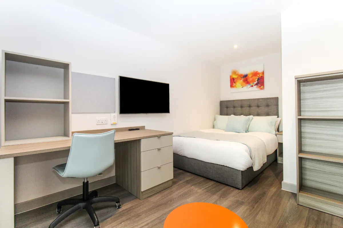 Luxury Apartment ROOM
