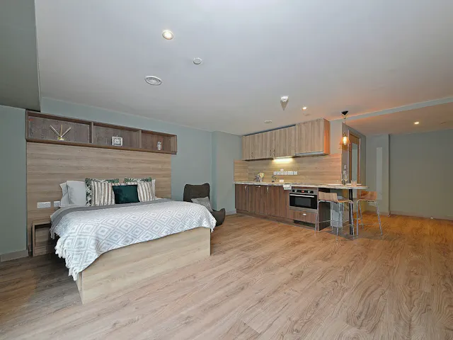 Luxury Plus Studio room image 1