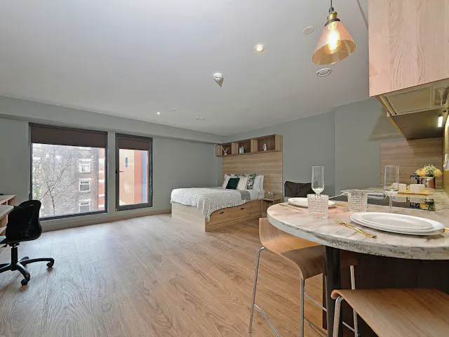 Luxury Plus Studio room image 2
