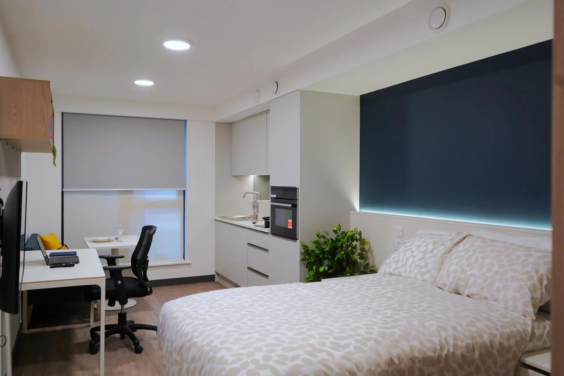 Luxury Plus Studio