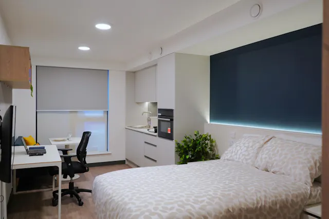 Luxury Plus Studio room image 1