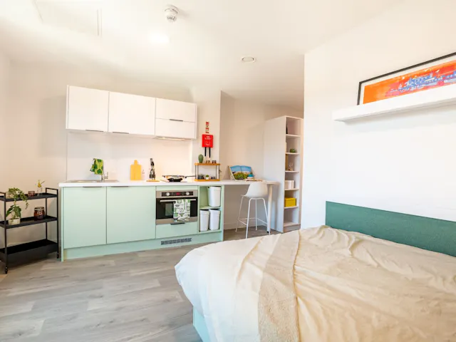 Luxury Studio room image 1