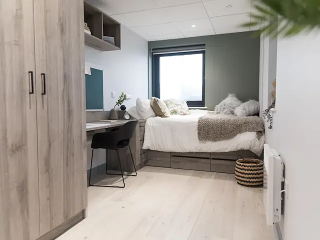 Luxury Studio Plus room image 1