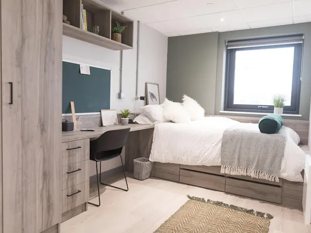 Luxury Studio Plus room image 2