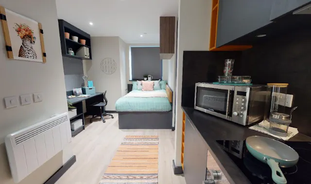 Luxury Studio Sea View room image 1