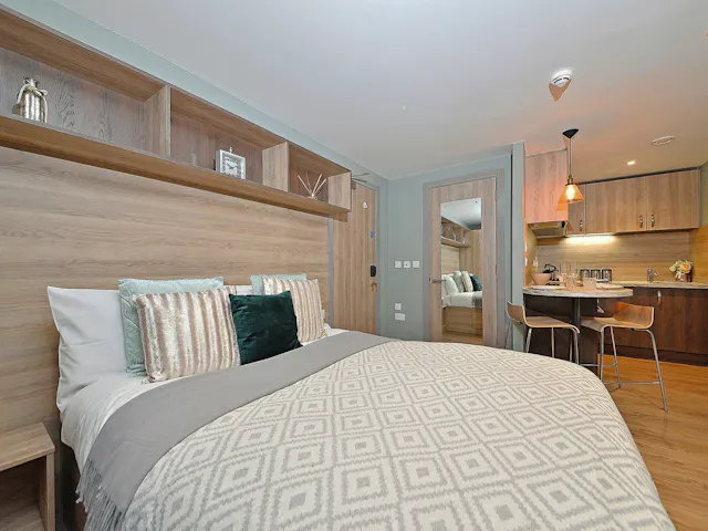Luxury Studio room image 1