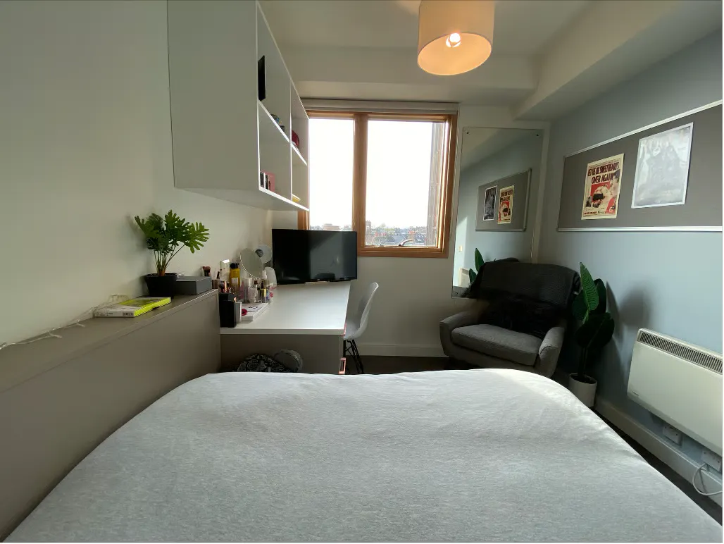 Luxury Studio