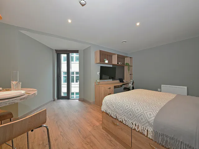 Luxury Studio room image 3