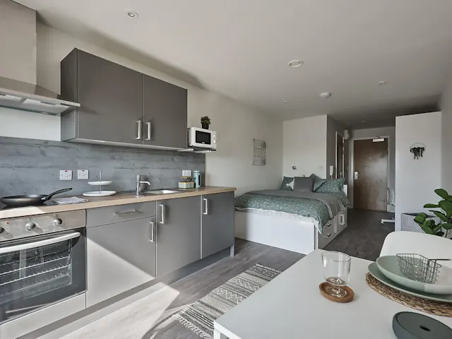 Luxury Studio room image 2