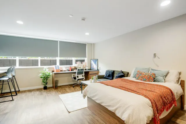 Luxury Studio room image 1