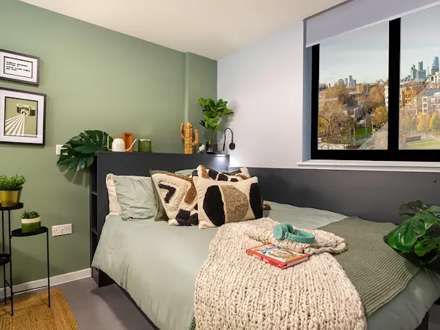 Luxury Studio room image 1