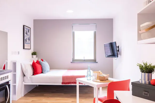 Luxury Studio room image 1