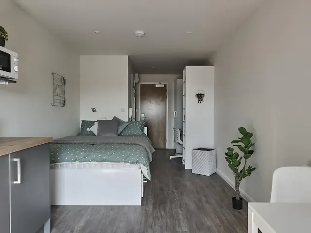 Luxury Studio room image 1