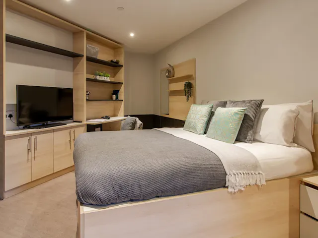 Luxury Studio room image 1