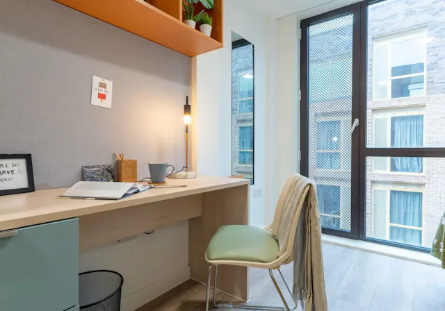 Bronze En Suite Plus room image 6