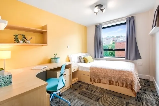 Premium Room room image 1