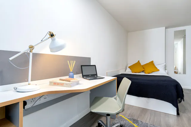 Gold Plus Studio room image 1