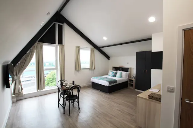 Studio Platinum Plus room image 2