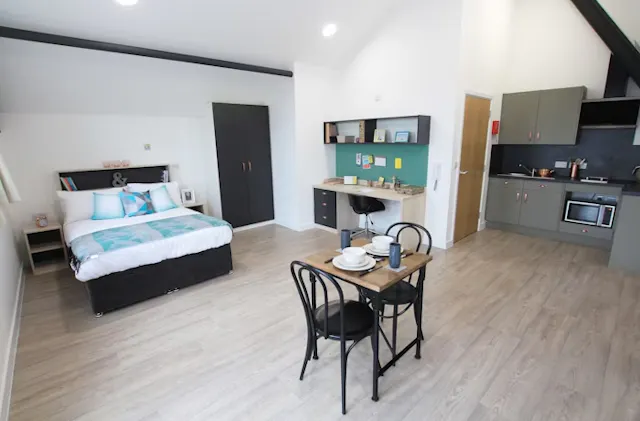 Studio Platinum Plus room image 1