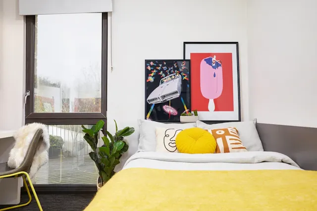 Medium Standard Double Studio room image 2
