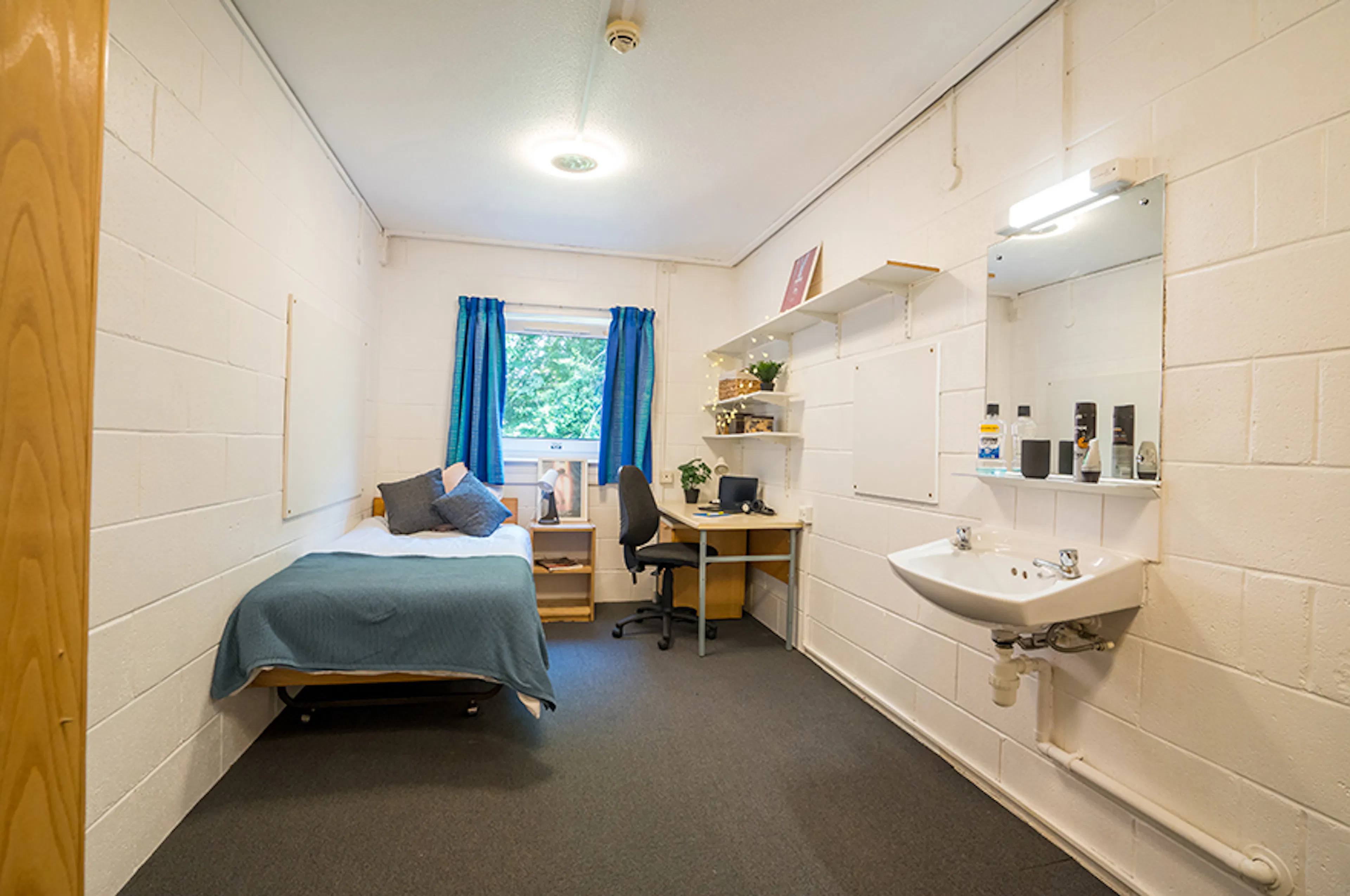 Extra Large Shared ROOM 3