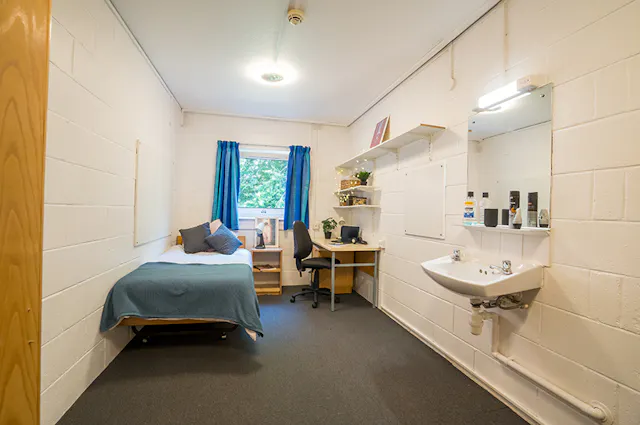 Extra Large Shared room image 1