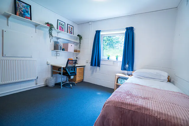 Large Shared room image 1