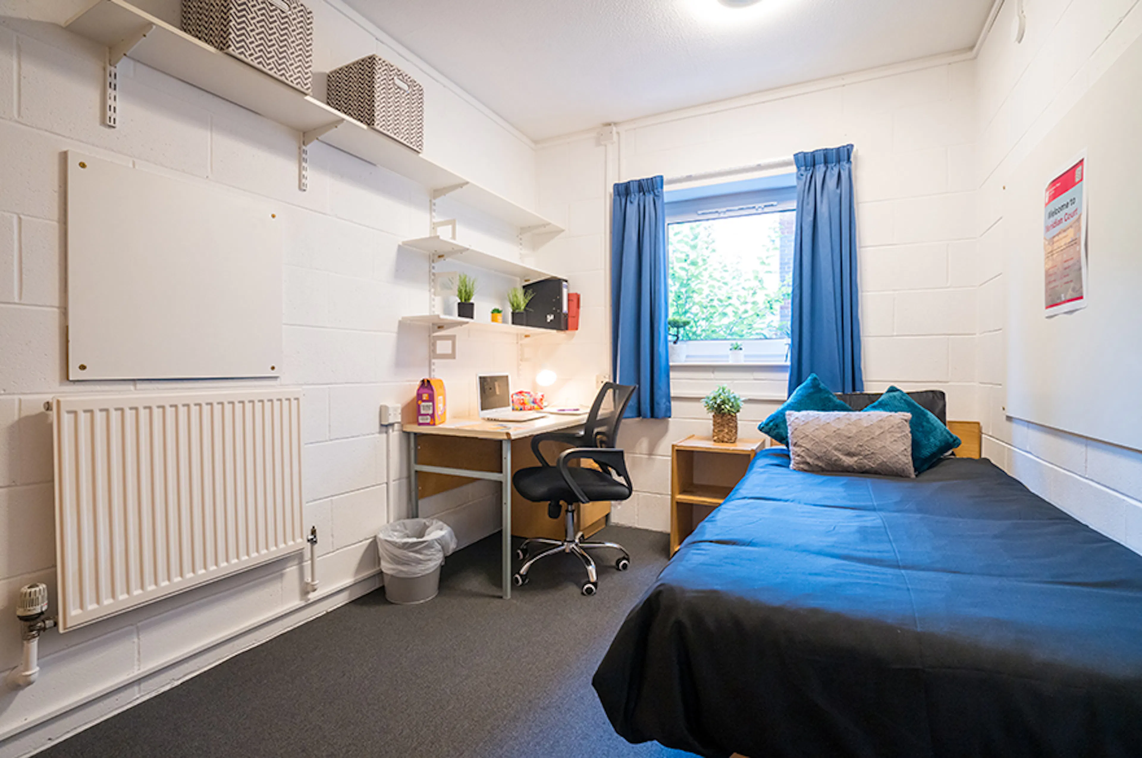 Standard Shared ROOM 1