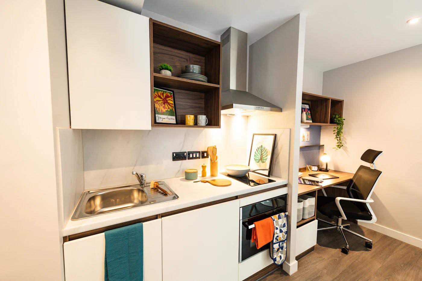 Studio Bronze - Accessible