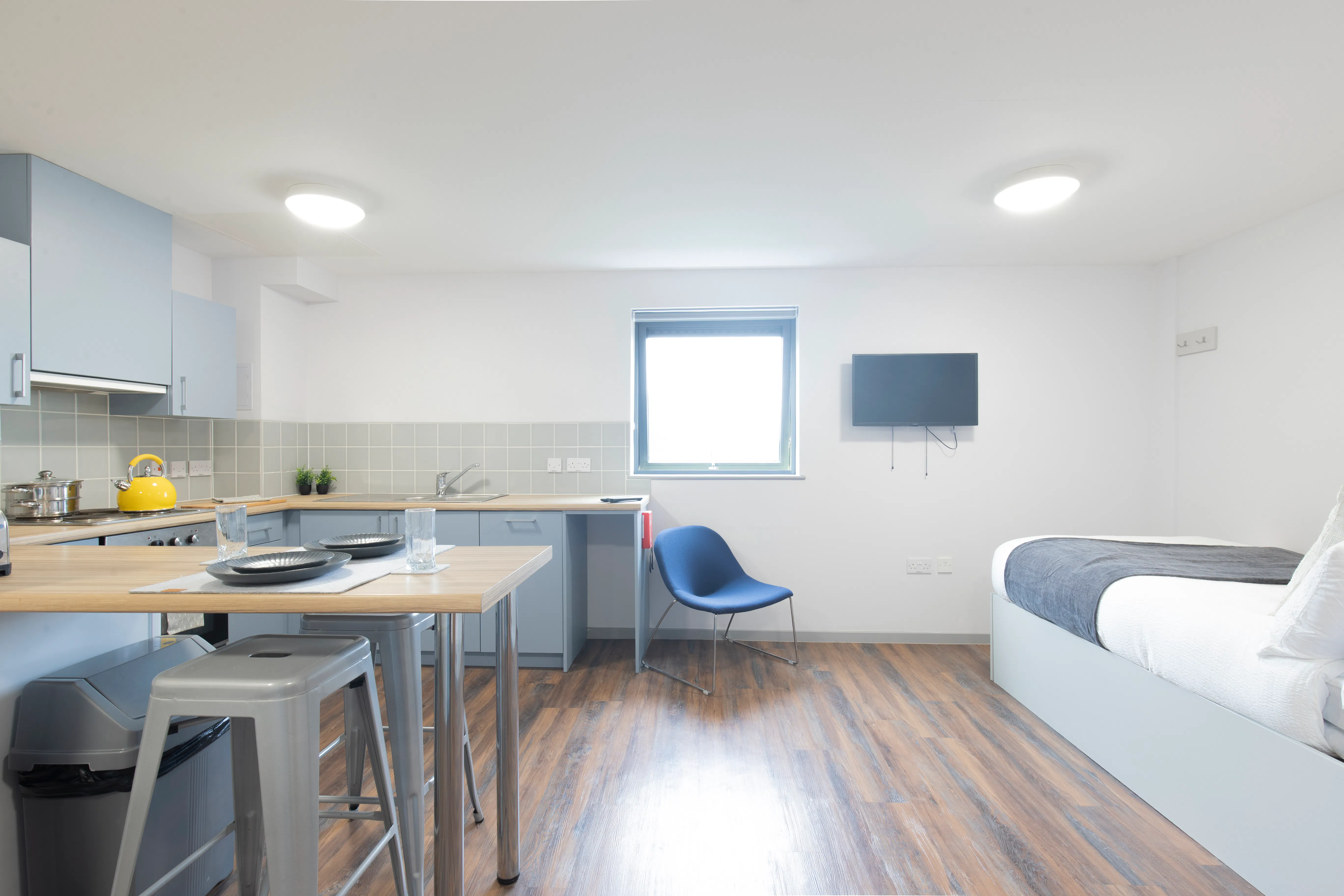 Premium Studio Newton Court