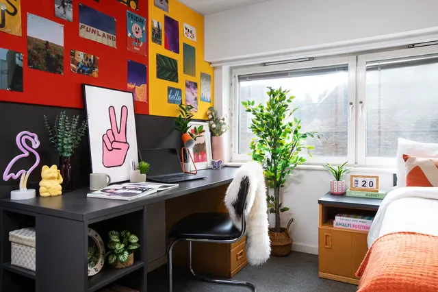 Non Ensuite: Two Bed Flat Standard Double room image 2