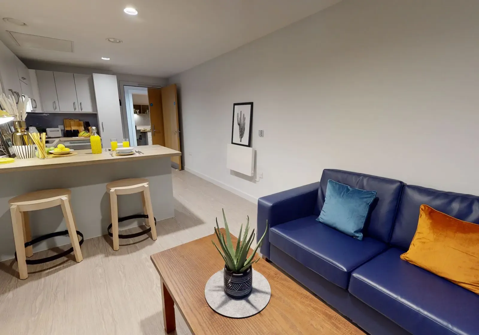 One Bed Apartment