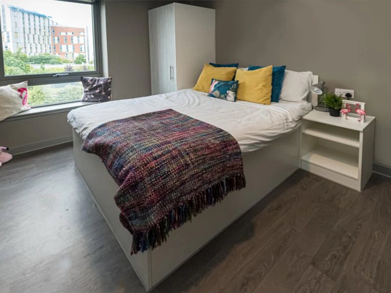 One Bedroom Apartment