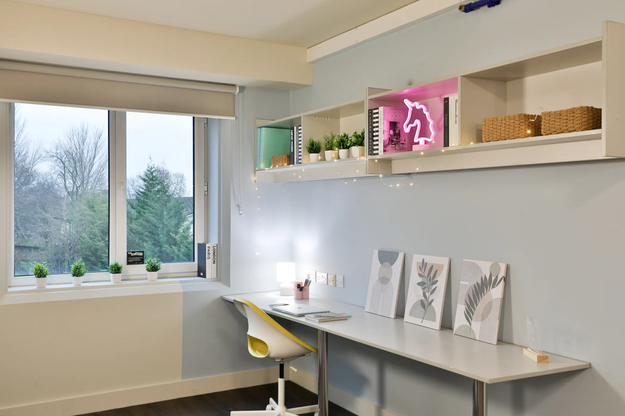 1 Bedroom Apartment