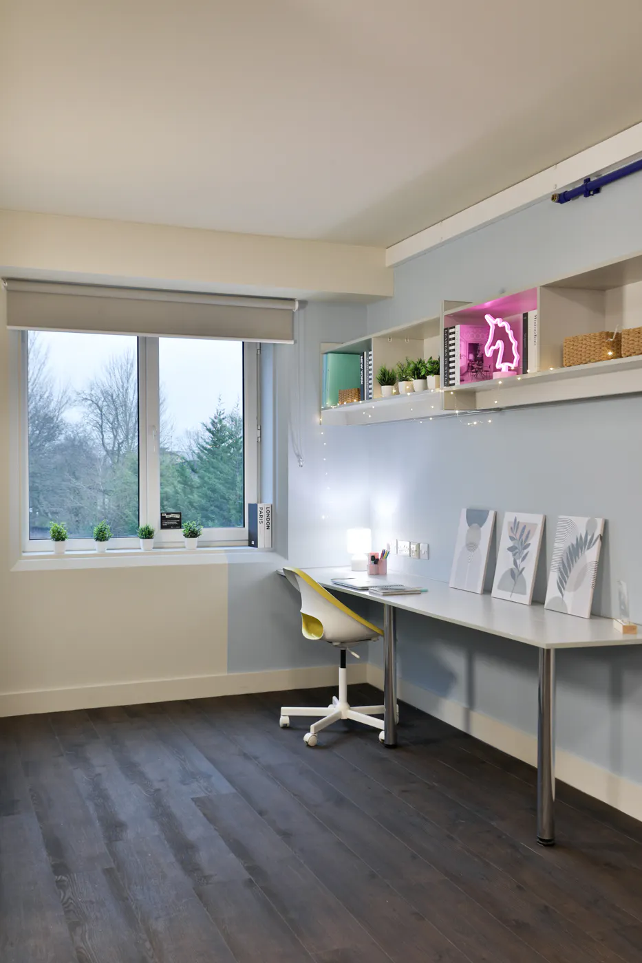 1 Bedroom Apartment