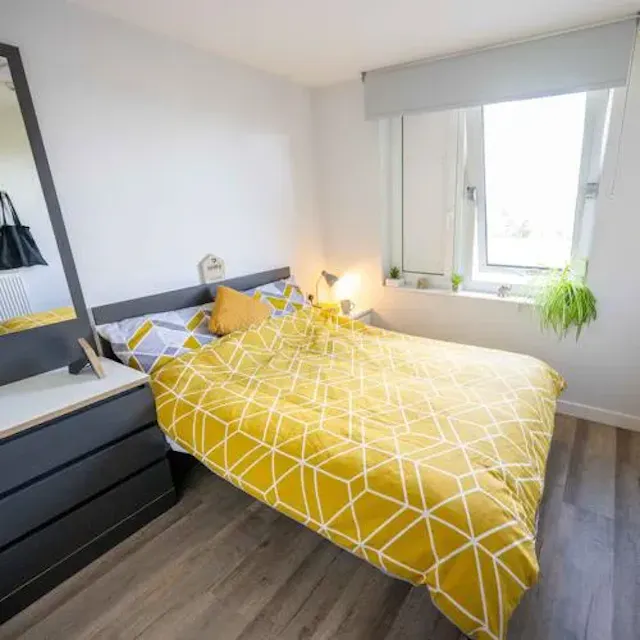 One Bed Flat room image 1