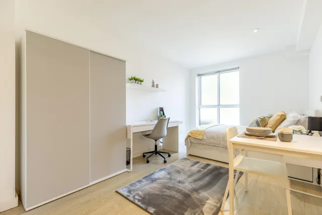 Deluxe Studio room image 4